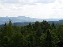 Kellerwald (37)